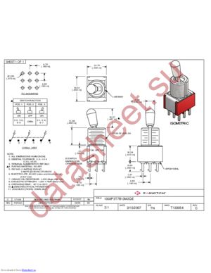 1003P3T7B13M2QE datasheet  