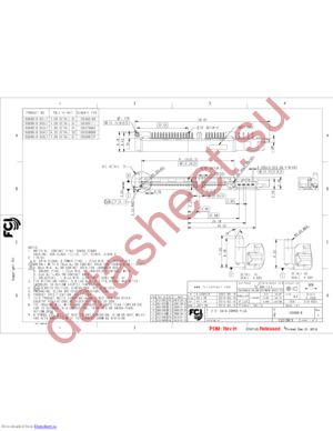 10069818-001LF datasheet  