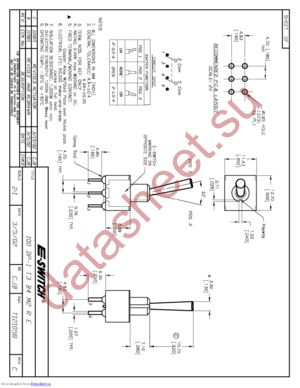 100DP1T3B4M2RE datasheet  