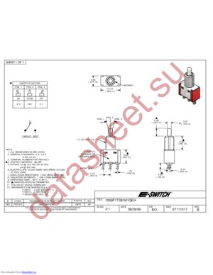 100SP1T2B1M1QEH datasheet  