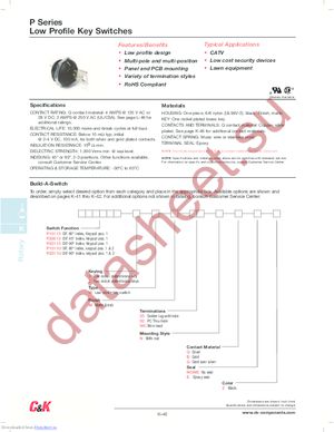 P101132WM03NQ2 datasheet  