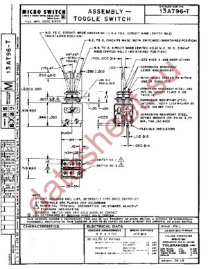 13AT96-T datasheet  