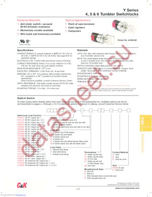 Y100AA2C203NQE datasheet  