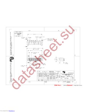 51741-10001206ACLF datasheet  