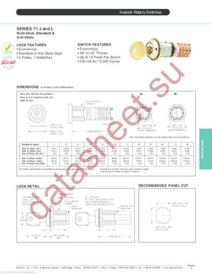 71L30-06-1-04N datasheet  