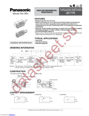 ABV1615619 datasheet  