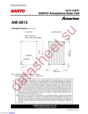 AM-5813 datasheet  