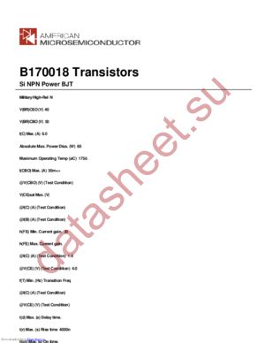 B170018 datasheet  