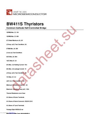 BW411S datasheet  