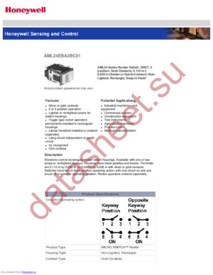 AML23GBA2CA04720 datasheet  