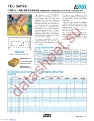 TBJV107K025LBSB0H00 datasheet  