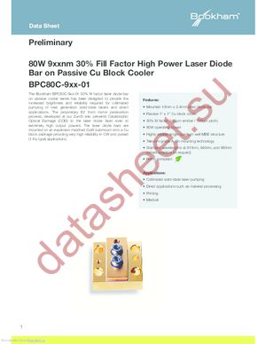 BPC80C-980-01 datasheet  