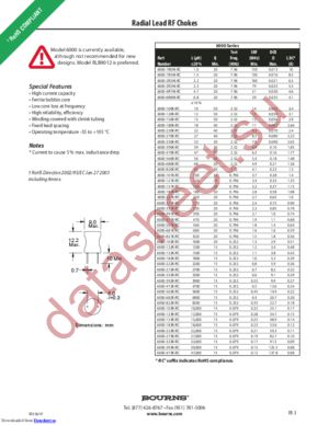 6000-100K-RC datasheet  