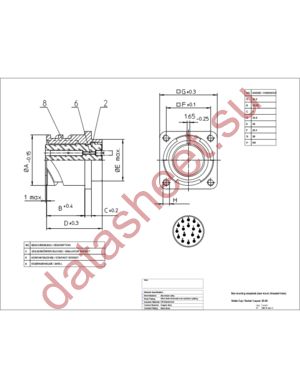 CA3102E20-29SB111 datasheet  