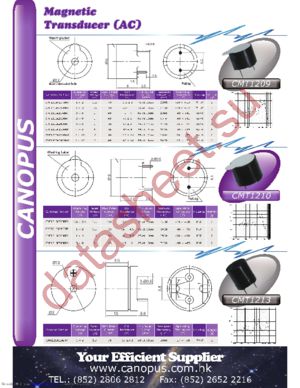 CMT1213A2048NP datasheet  