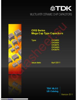 CKG45KX7T2J224M datasheet  