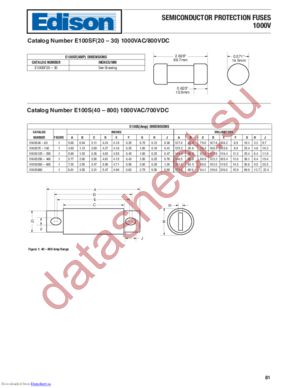 E100S100 datasheet  