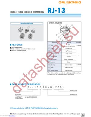 RJ13SR204 datasheet  