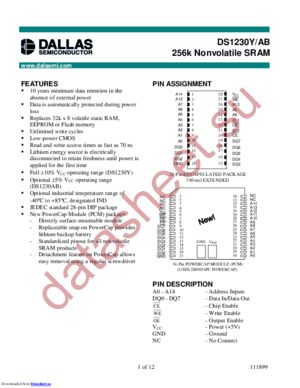 DS1230Y100 datasheet  