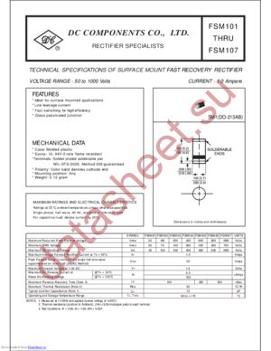 FSM100 datasheet  