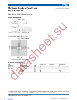 DEA165850LT-1197 datasheet  