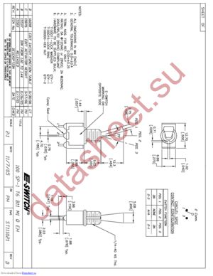 100SP-1T6B11M1QEH datasheet  