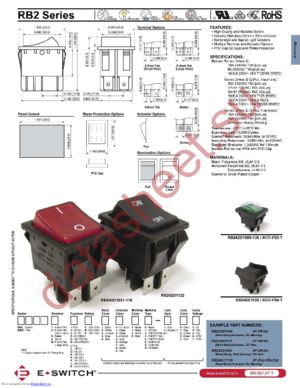 RB243C1100 datasheet  