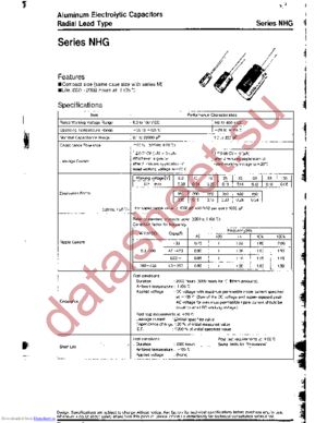 ECA2AHG101 datasheet  