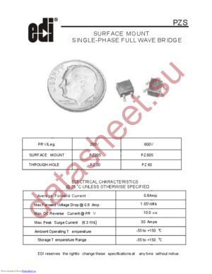 PZ60S datasheet  