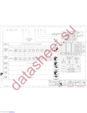 10120124-L0E-30C datasheet  