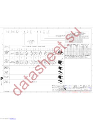 10120132-R0E-41DLF datasheet  