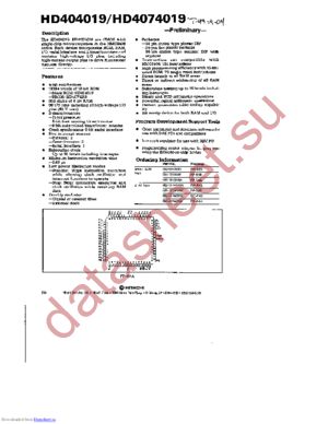 HD404019S datasheet  