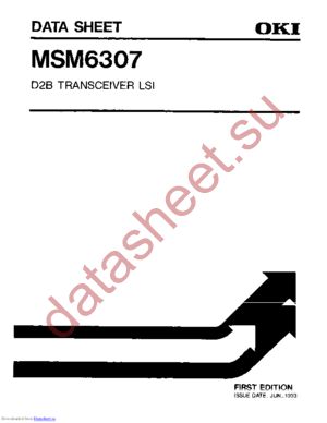 MSM6307 datasheet  