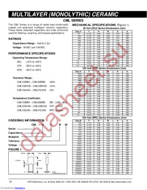 CML100J100 datasheet  