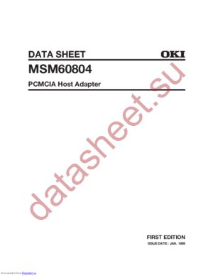 MSM60804GS-K4 datasheet  