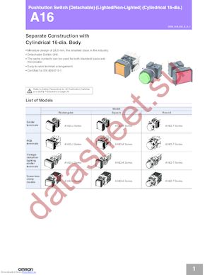 A165LJYA24D2 datasheet  