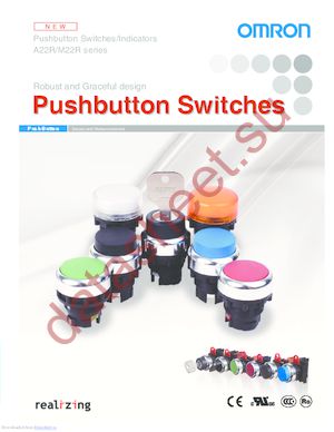 A22RW-2MG-24A-10 datasheet  