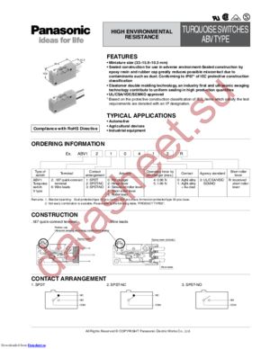 ABV1615619R datasheet  