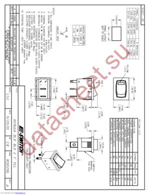 R1966ABLKBLKEFYEL datasheet  