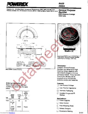 RA202825XX datasheet  