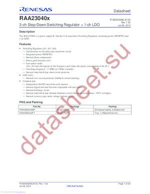 RAA230405GNP#HA0 datasheet  