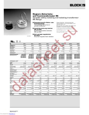 RK100/25 datasheet  