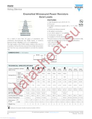 RWM06222R20JR15E1 datasheet  