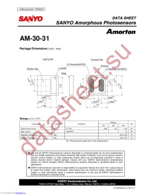 AM-30-31 datasheet  