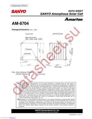 AM-8704 datasheet  