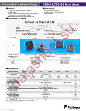 X3GM-6050KPGSR datasheet  