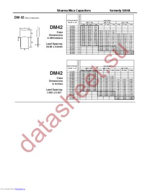 DM42 datasheet  