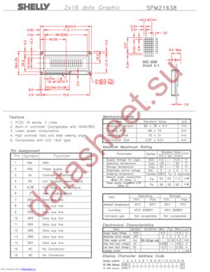 SPM21638 datasheet  