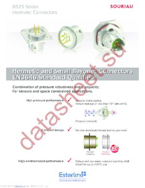 85252H22B21PWH datasheet  