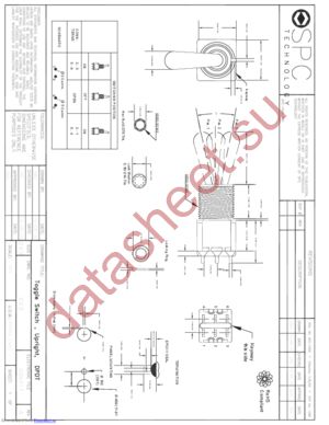 SPC21306 datasheet  